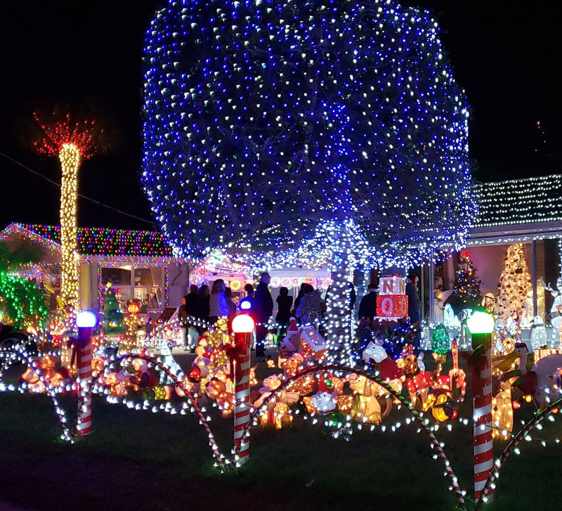 Holiday Lights Tours